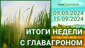 Итоги недели с ГлавАгроном. 09.09.2024 - 15.09.2024