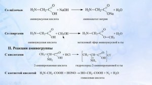 Аминокислоты