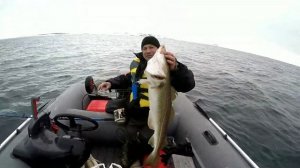 Ловим ТРЕСКУ. РЫБАЛКА в БАРЕНЦЕВОМ МОРЕ."Cod fishing in the Barents sea."