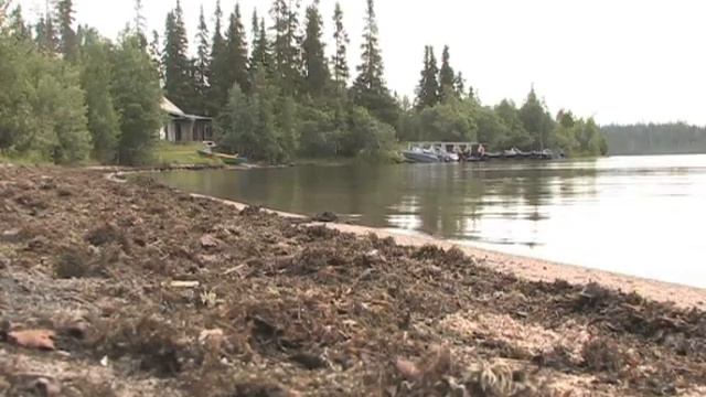 Выпуск 07 - Путешествие в Лапландсикй заповедник (Часть 1) смотреть онлайн