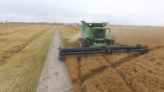 AAC Marvelous Flax Seed 2020 Harvest смотреть онлайн