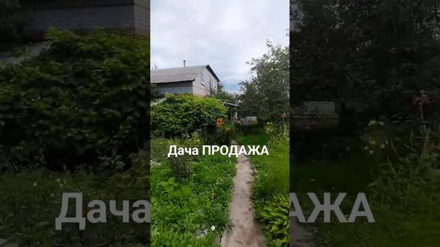 Дача Рамонский район ДОНСКИЕ ЗОРИ ПРОДАЖА #недвижимость #воронеж