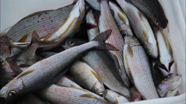 бикин 2012 ютуб смотреть онлайн