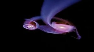 Симуляция столкновения галактик