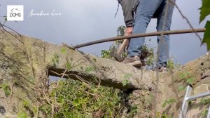 ВОССТАНАВЛИВАЕМ старый дом. Очищаем от ПЛЮЩА стены