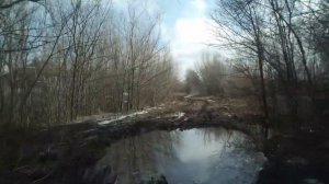 Село Камышовка, Вольский район)