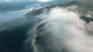 Софоос. Ченелинг. Цивилизация Андромеды  "О единомышленниках".