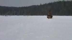 Зов предков. Full HD✔️