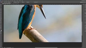 11  Learn Photoshop Tips Tricks in Hindi   Use of Magnetic Lasso Tool in Photoshop CS6