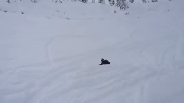 Polaris pro rmk 800 turbo and non turbo смотреть онлайн