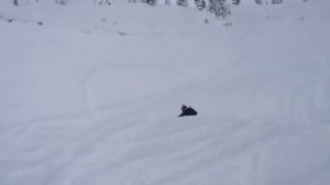 Polaris pro rmk 800 turbo and non turbo