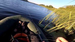 ТАКИХ НА УДОЧКУ Я НЕ ЛОВИЛ! ЩУКА НА ПОПЛАВОК!