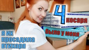 СКАЗОЧНАЯ ПОСЫЛКА ОТ АНИ КОЛЬЦОВОЙ | СКРАПБУКИНГ| ПОКУПКИ ИЗ ScrapMania | АДВЕНТ-КАЛЕНДАРИ