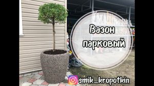 Сажаем дерево в вазу Вазон парковый. Planting a tree in a vase. Japanese birch bark.