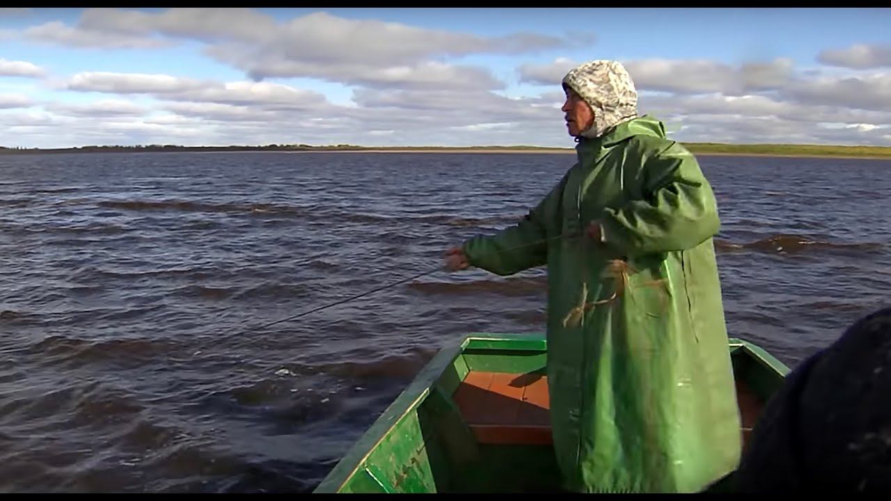 С полем! 