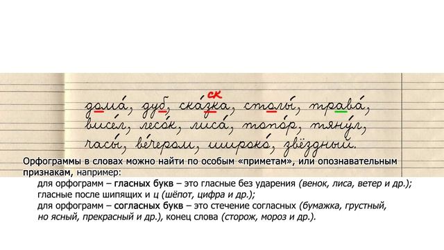 premiere орфограммы izi dz