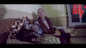 крым тайган орангутан дана