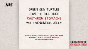 ТОП 10 английских идиом от ИНГЛИШ ШОУ | Английский язык | Разговорный английский с нуля