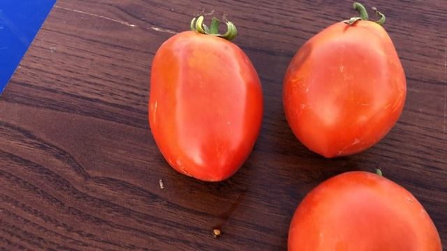 Томат БОЛЬШАЯ МАМА. Big Mama Tomato смотреть онлайн