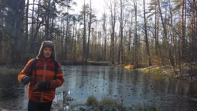 Почему человек вымирает? Что делать? Может ли человек уничтожить природу? смотреть онлайн