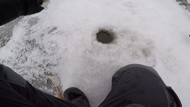 Судак на ПРОФЕССОР и крупные окуни на ЧЕРТА смотреть онлайн