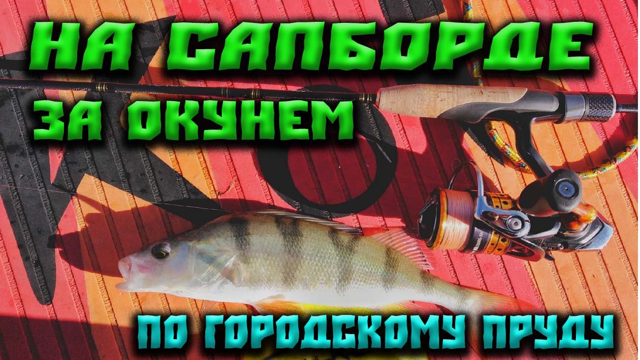 Рыбалка с сапбордаа на городском пруду.Микроджиг.Окунь.mp4
