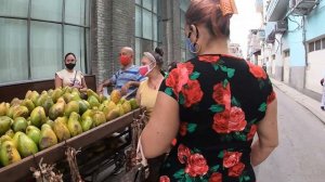 Прогулка по нетуристической Гаване. Walking Tour Habana. Cuba.