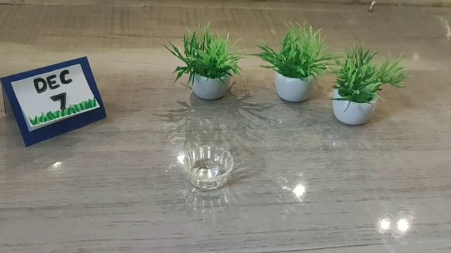 Miniature DIY for Dark circles. смотреть онлайн