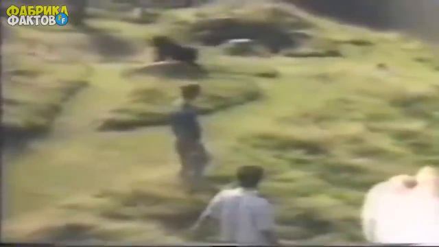 УДИВИТЕЛЬНЫЕ СЛУЧАИ СПАСЕНИЯ ЖИВОТНЫМИ ЛЮДЕЙ смотреть онлайн