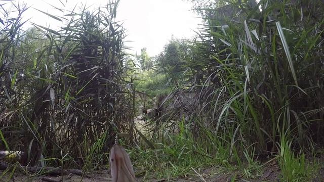 Рыбалка в Клину.Клинское Водохранилище смотреть онлайн