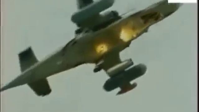 Черная акула смотреть онлайн