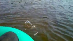 Ловля щуки на бутылочку ...