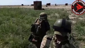 Легендарная 810 отдельная гвардейская бригада морской пехоты проводит учения на Херсонском направлен