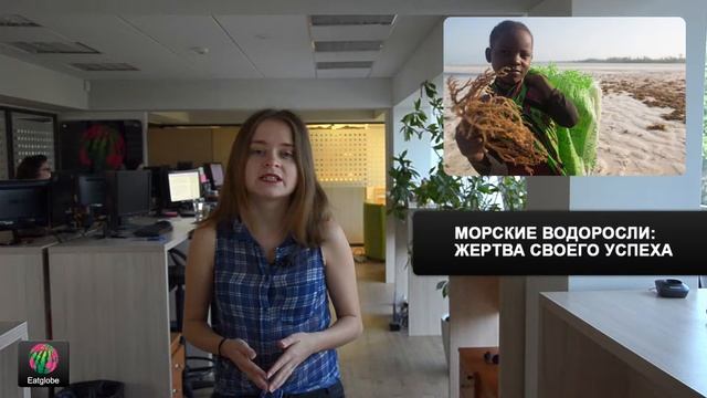 Морские водоросли: жертва своего успеха смотреть онлайн