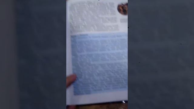 Очень инетерные слова в учебнике по русскому языку и по истории😂😂😂 смотреть онлайн