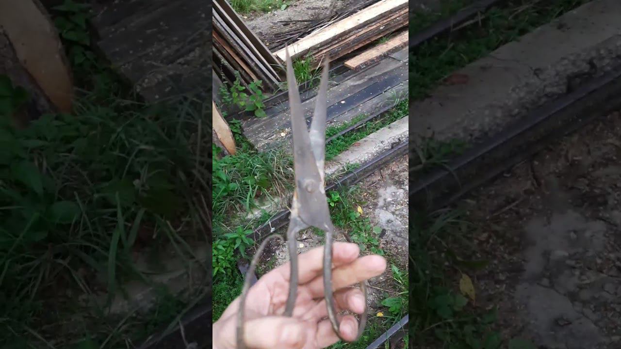 Древние ножницы нашли в земле на огороде смотреть онлайн