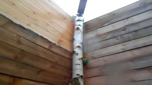 Озеро Неро. Реабилитация озера Неро