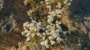 Колыма. Трасса Колыма.