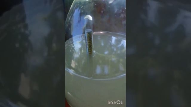 измеряем количество сахара и спирта в медовухе смотреть онлайн