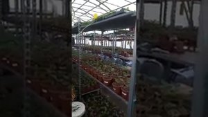 Котел на 50 кВт для отопления теплицы, отзыв покупателя ЗВОНИТЕ 89379320505