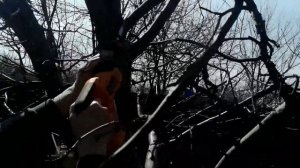 Сабельная пила на даче.