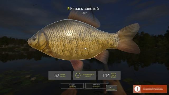 Русская рыбалка 4(рр4) - озеро Комариное. Трофейный карась