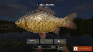 Русская рыбалка 4(рр4) - озеро Комариное. Трофейный карась