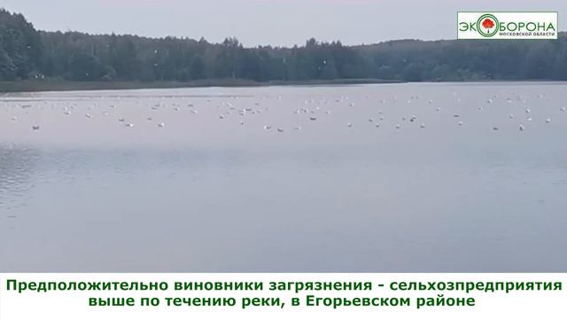 Мор в Коломне смотреть онлайн