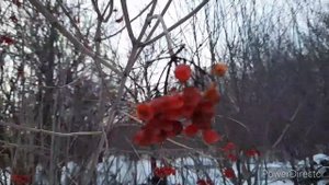 Иду к отшельнику который живёт один в глухой деревне|Застывшее время и мир тишины|Подарок Сан Саныч