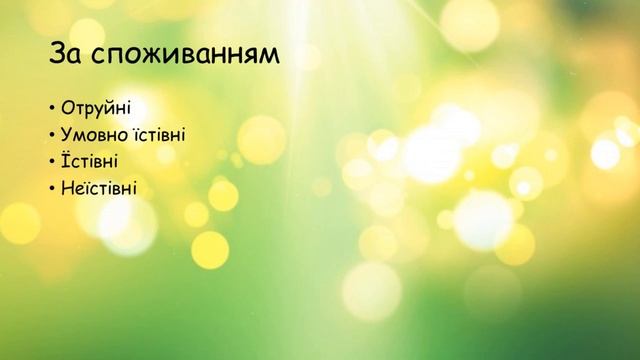 Різноманітність організмів. Гриби смотреть онлайн