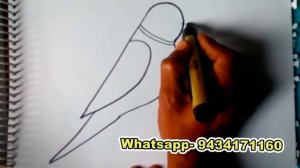 HOW TO DRW PARROT./ simple bird drawing/ easy to draw