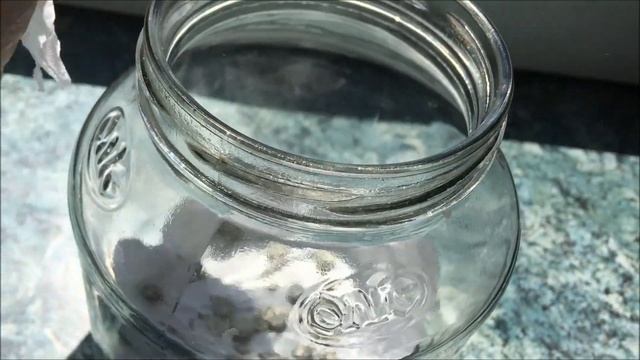 КАК СЭКОНОМИТЬ НА БИОПРЕПАРАТАХ ? / ТРИХОДЕРМА из ГЛИОКЛАДИНА / БИОФУНГИЦИД Готовим САМИ