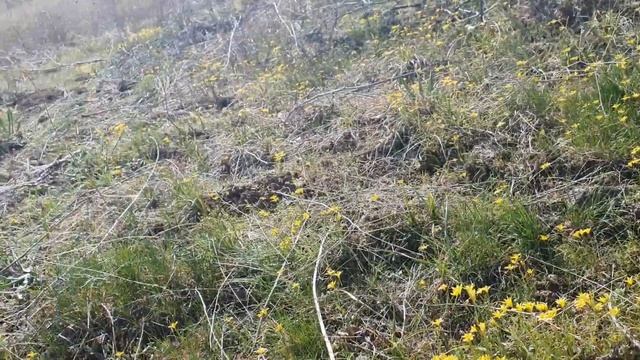 Taraz, Тараз, горы Акшолак март 2023 #тараз #taraz #казахстан #горы