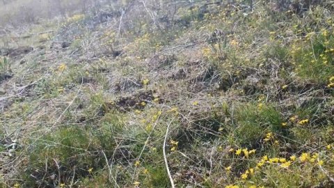 Taraz, Тараз, горы Акшолак март 2023 #тараз #taraz #казахстан #горы